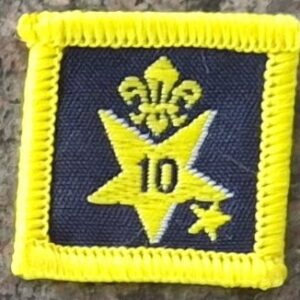 10 Years Joining in Award (old logo)