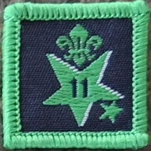 11 Years Joining in Award (old logo)