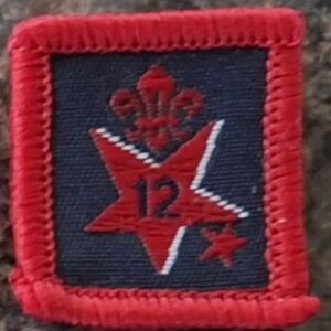 12 Years Joining in Award (old logo)