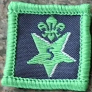 5 Years Joining in Award (old logo)