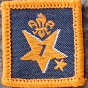 7 Years Joining in Award (old logo)