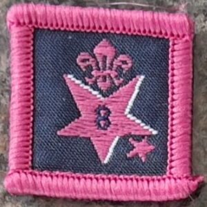 8 Years Joining in Award (old logo)