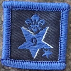 9 Years Joining in Award (old logo)