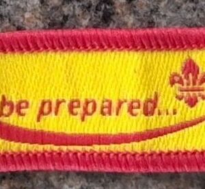 Beavers-Cubs Moving On (old logo)