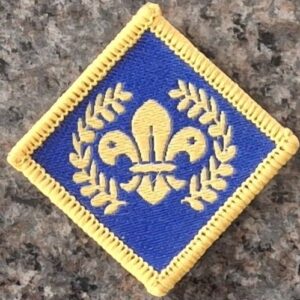 Platinum Chief Scout Award Badge (old logo)